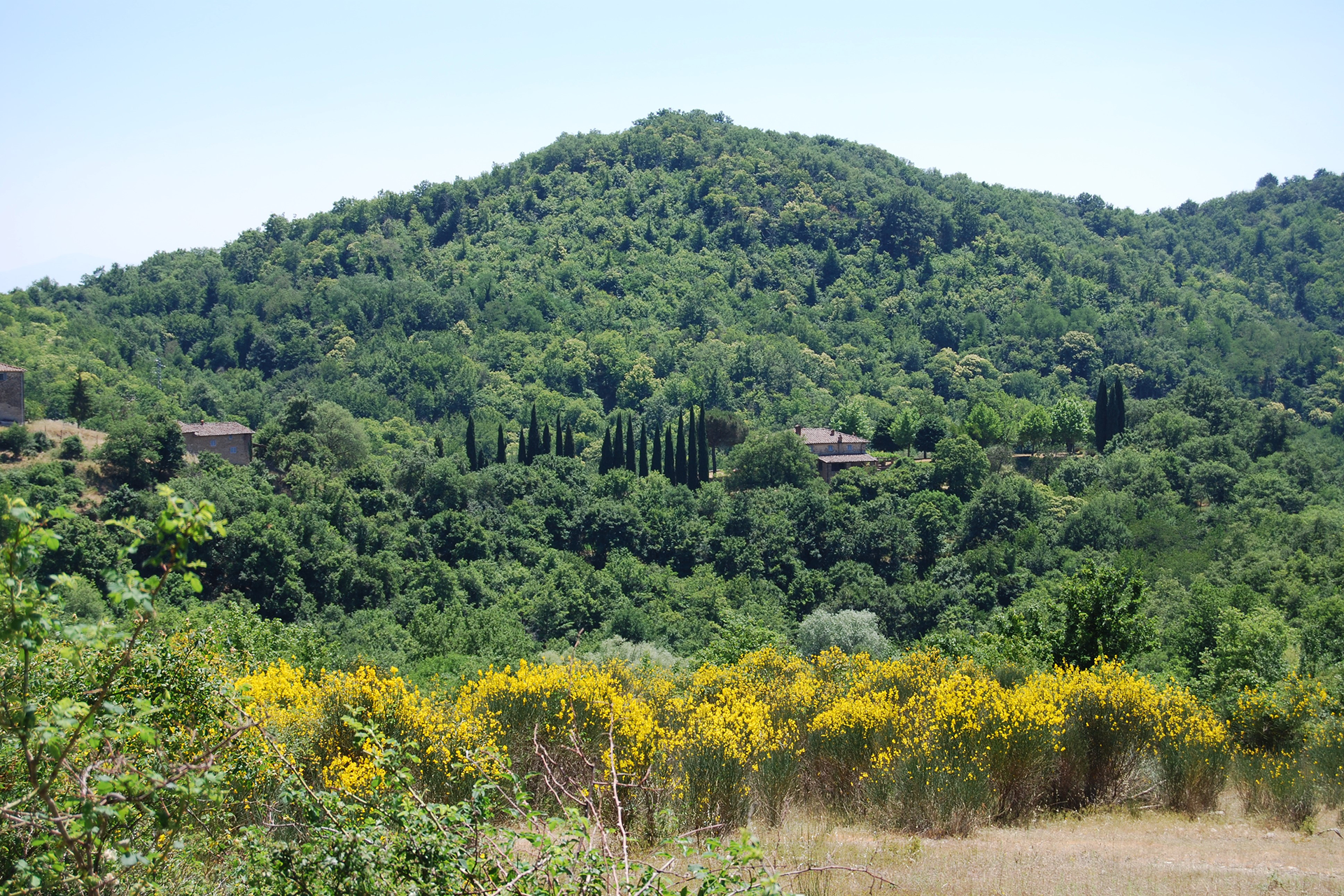 A1. The hill of Cetamura del Chianti-1920x1280